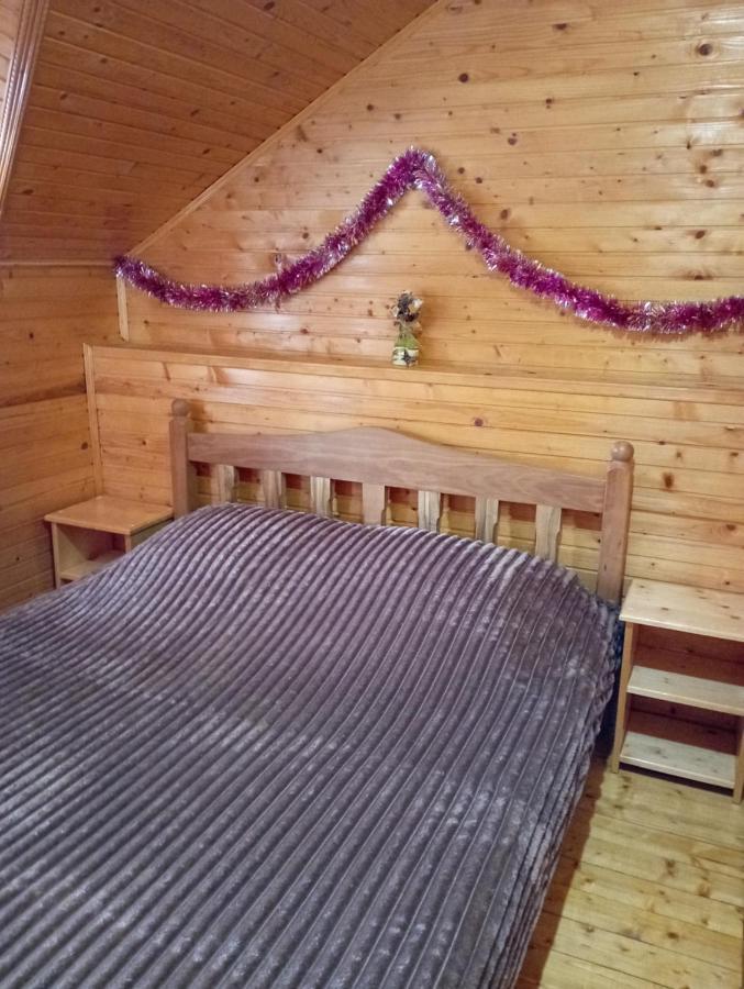 Holiday Home Melodiya Karpat Яремче Екстер'єр фото
