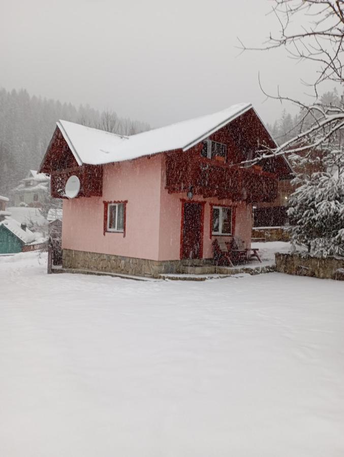 Holiday Home Melodiya Karpat Яремче Екстер'єр фото