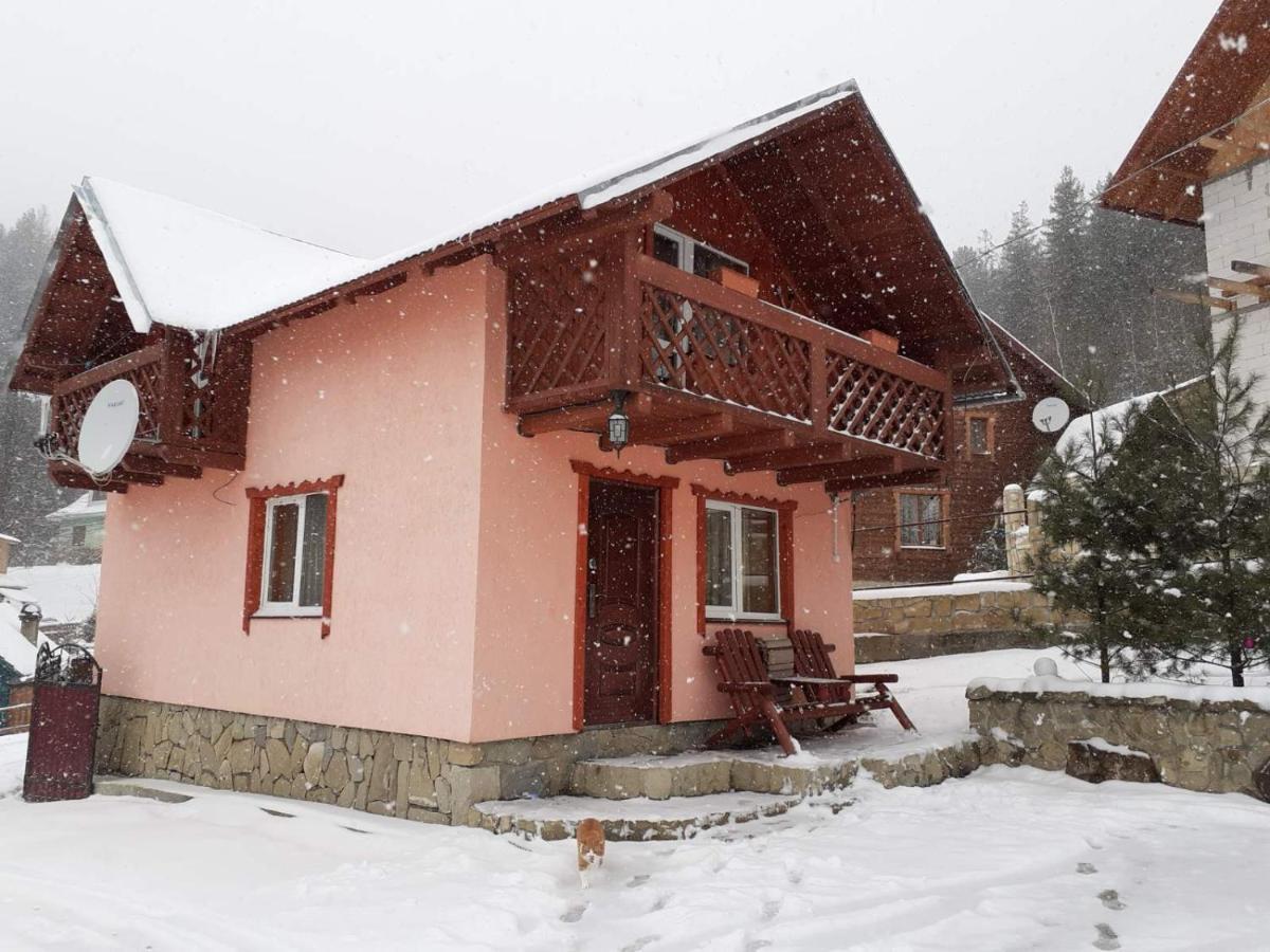 Holiday Home Melodiya Karpat Яремче Екстер'єр фото