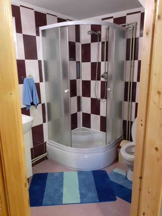 Holiday Home Melodiya Karpat Яремче Екстер'єр фото
